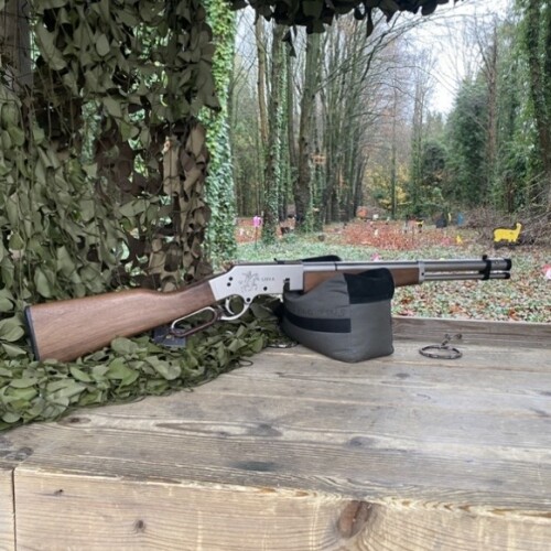 Reximex Lieva Silver .22